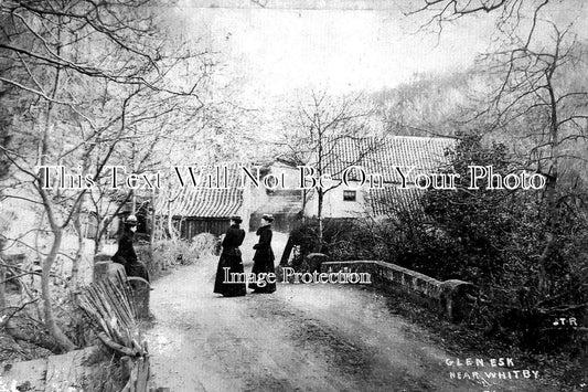 YO 13741 - Glen Esk Near Whitby, Yorkshire