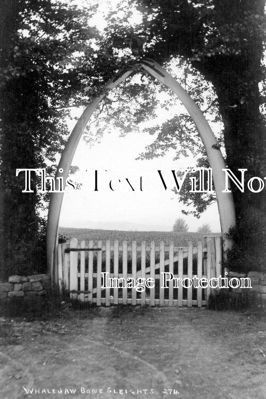 YO 13755 - Whale Jaw Bone Arch, Sleights, Yorkshire