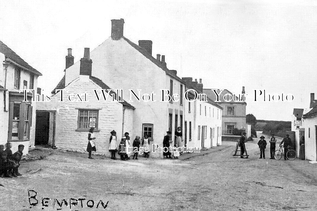 YO 13789 - Bempton Near Bridlington, Yorkshire