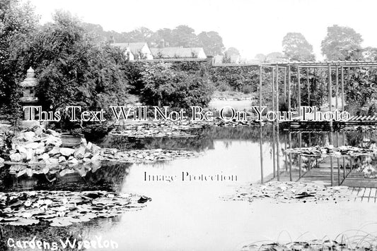 YO 13809 - Gardens At Wiseton, Yorkshire