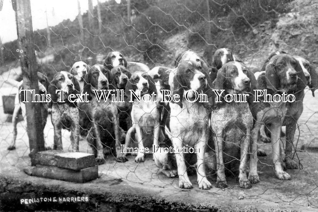 YO 13837 - Penistone Harriers, Yorkshire