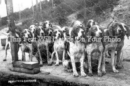 YO 13837 - Penistone Harriers, Yorkshire