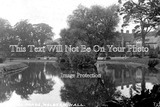 YO 14011 - Fish Ponds, Welburn Hall, Kirkbymoorside, Yorkshire c1909