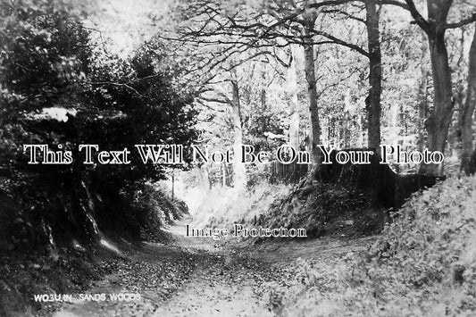 BF 120 - Woods At Woburn Sands, Bedfordshire c1907