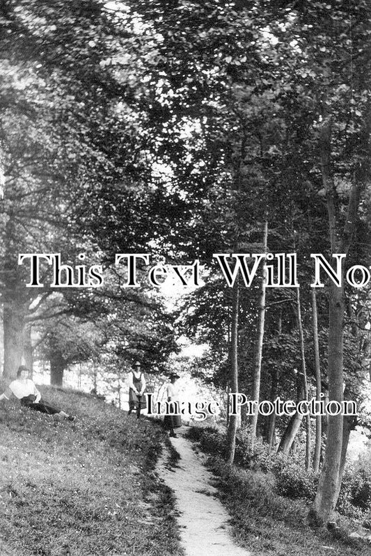 BF 1321 - The Coombe, Totternhoe Knolls, Bedfordshire c1922