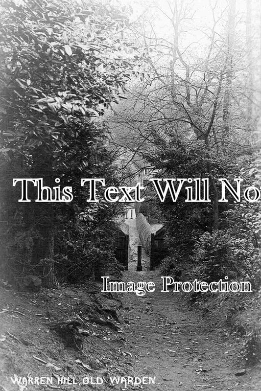 BF 196 - Warren Hill, Old Warden, Bedfordshire