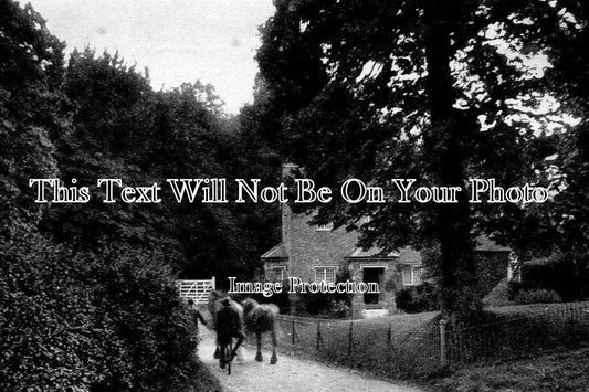 BF 48 - Linden Lodge, Eversholt, Bedfordshire c1920