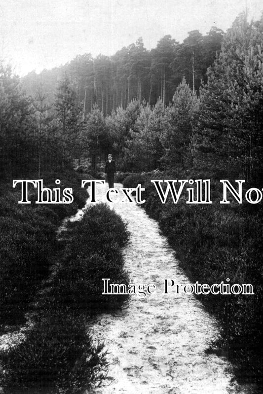 BF 536 - The Silver Path, Woburn Sands Woods, Bedfordshire