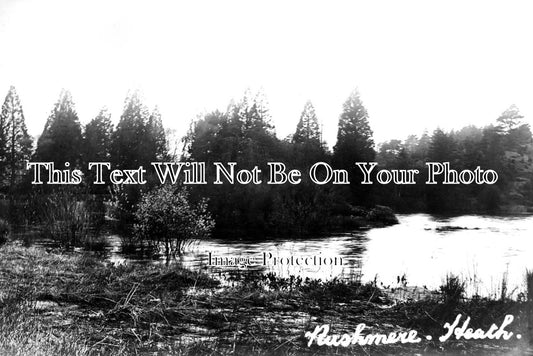 BF 639 - Rushmere Heath, Leighton Buzzard, Bedfordshire c1913