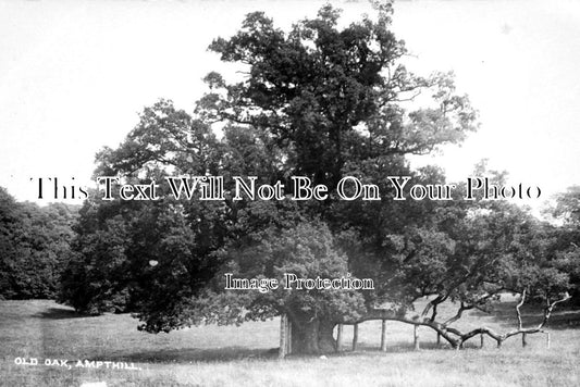 BF 655 - Old Oak, Ampthill, Bedfordshire