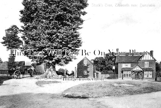BF 773 - Stocks Tree, Tilsworth, Bedfordshire