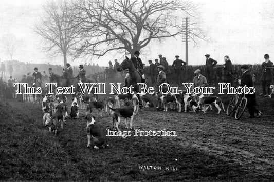 BF 8 - Fox Hounds, Milton Hill, Bedfordshire c1910