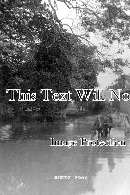 BF 902 - The Pond, Biscot, Bedfordshire