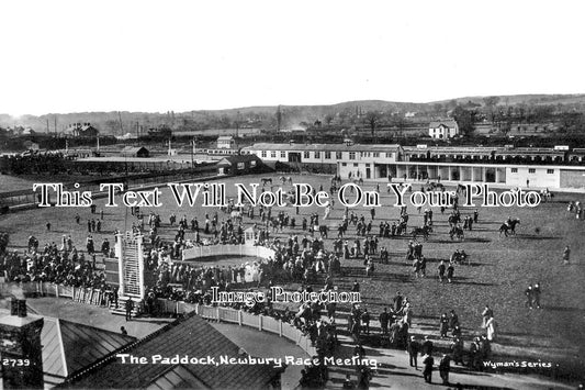 BK 1402 - The Paddock, Newbury Racecourse, Berkshire