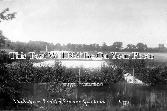 BK 147 - Thatcham Fruit & Flower Gardens, Berkshire  c1910