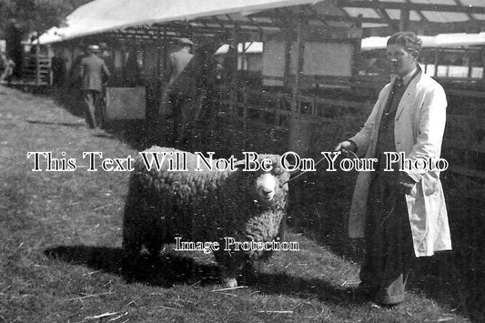BK 1640 - Windsor Great Park Show, Berkshire 1938