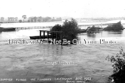 BK 1747 - Summer Floods, The Fisheries, Caversham, Berkshire 1903