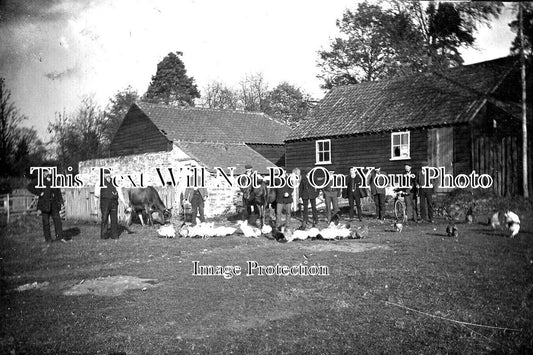 BK 1959 - Downshire Dick, Bracknell, Berkshire c1911