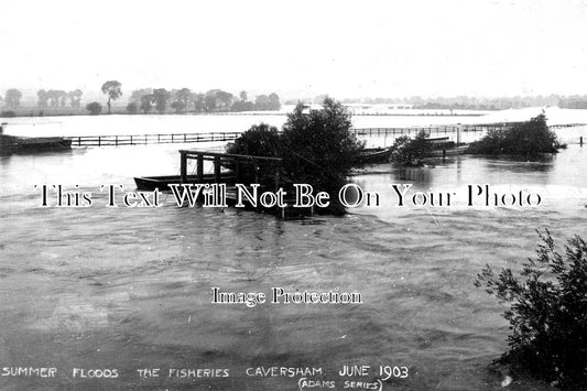 BK 1996 - Summer Floods, The Fisheries, Caversham, Berkshire 1903