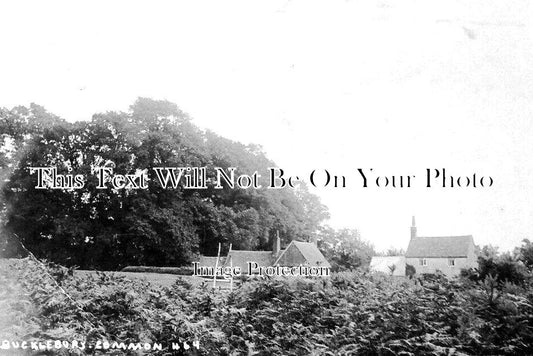 BK 2136 - Bucklebury Common, Berkshire