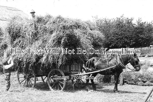 BK 2483 - Loading Hay, Farm Scene, Reading Area, Berkshire c1911