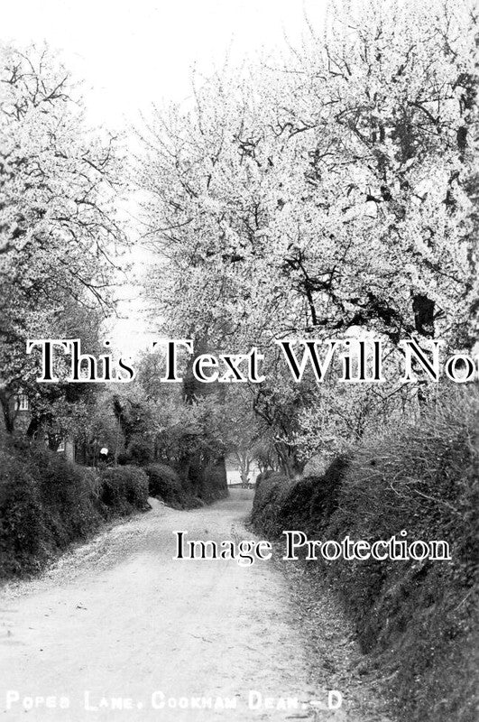 BK 2657 - Popes Lane, Cookham Dean, Berkshire