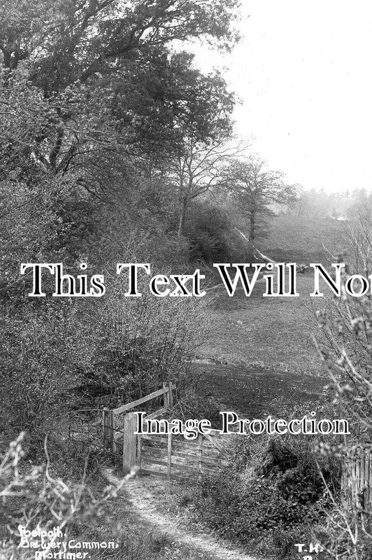 BK 2680 - Footpath, Brewery Common, Mortimer, Berkshire