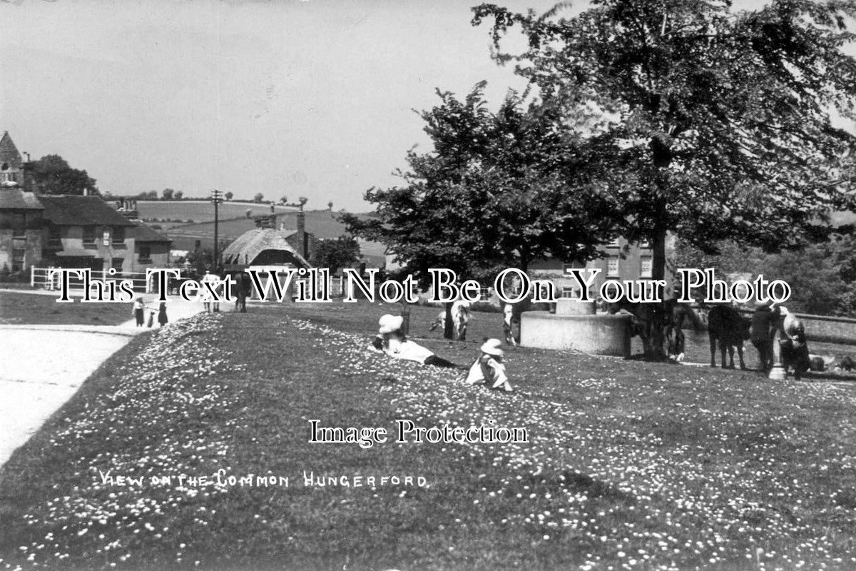 BK 847 - View On The Common, Hungerford, Berkshire