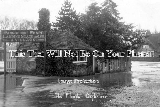 BK 876 - The Floods, Pangbourne, Berkshire c1910
