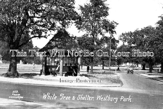 BR 649 - White Tree & Shelter, Westbury Park, Bristol