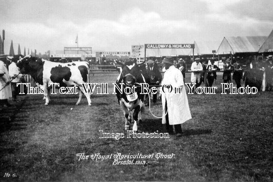 BR 760 - The Royal Agricultural Show, Bristol 1913