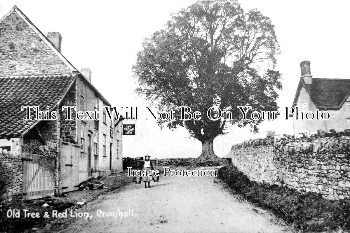 BR 837 - Old Tree & Red Lion Pub, Cromhall, Bristol