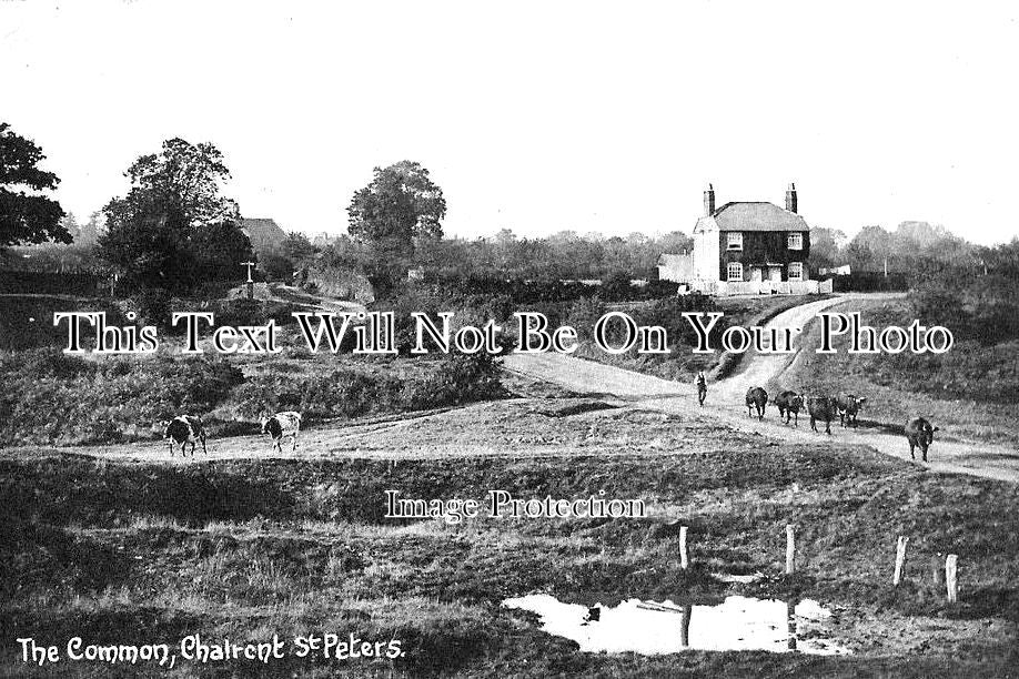 BU 1189 - The Common, Chalfont St Peters, Buckinghamshire c1909