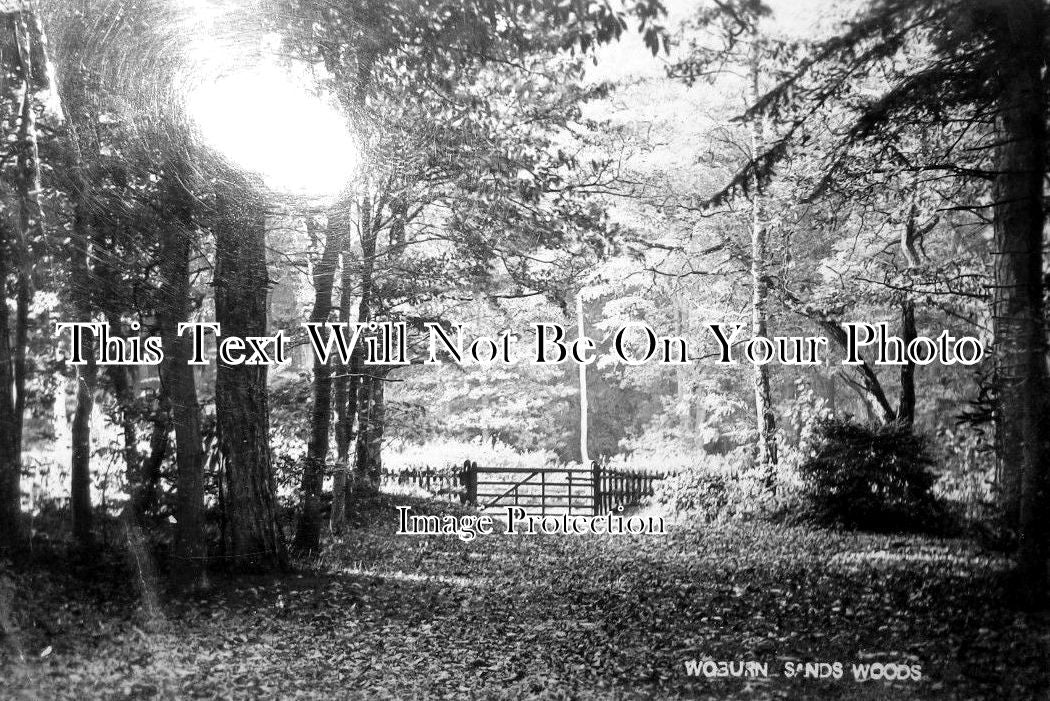 BU 1289 - Woburn Sands Woods, Buckinghamshire c1907