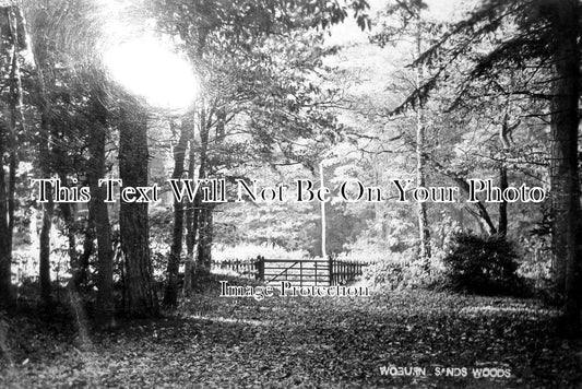 BU 1289 - Woburn Sands Woods, Buckinghamshire c1907