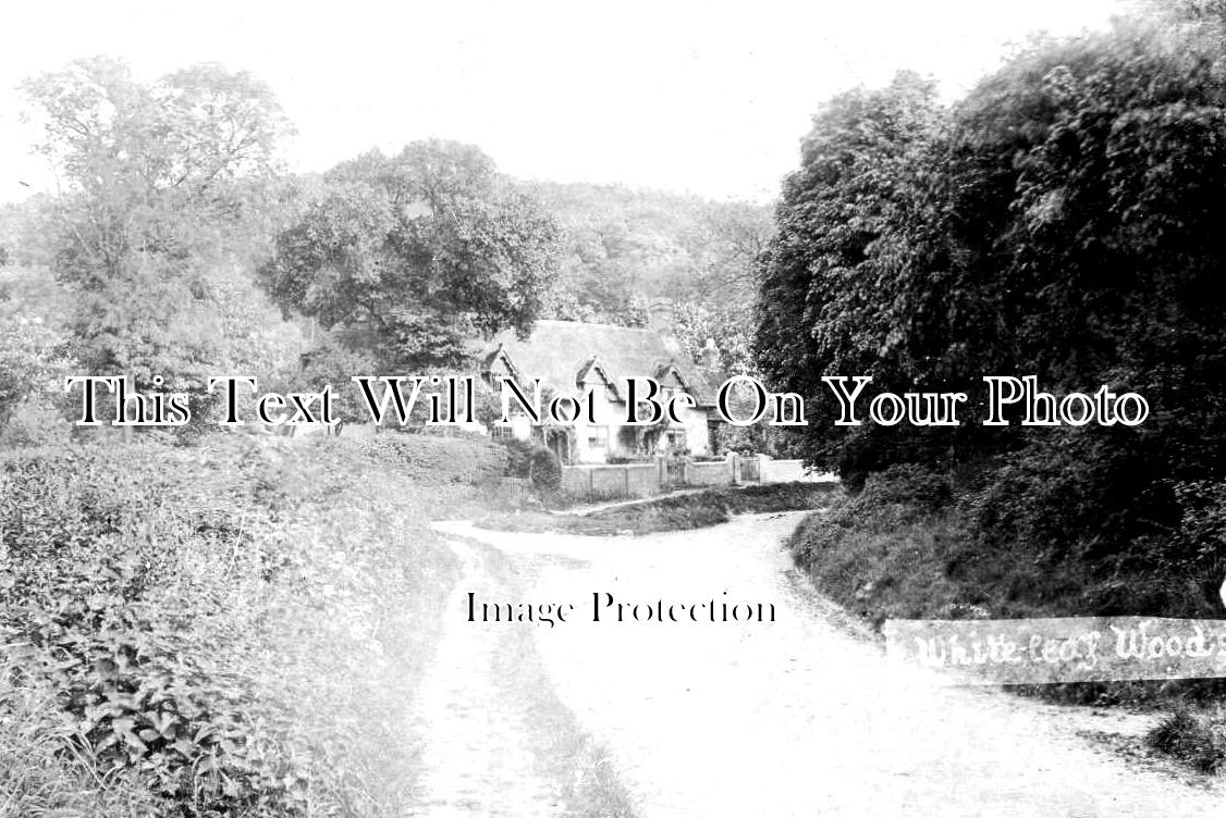 BU 1819 - Whiteleaf Woods, Princes Risborough, Buckinghamshire