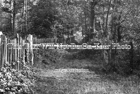 BU 1998 - Chalfont Park, Gerrards Cross, Buckinghamshire