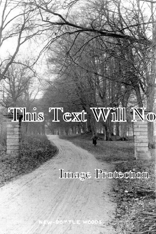 BU 2262 - Newbottle Woods, Buckinghamshire