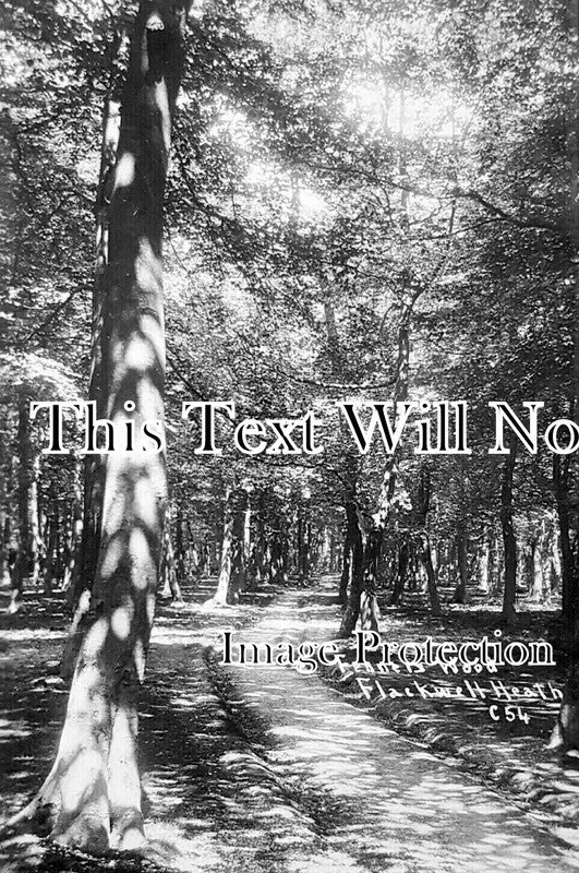 BU 2352 - Fennels Wood, Flackwell Heath, Buckinghamshire c1920