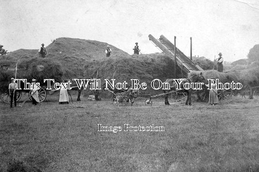 BU 583 - Building Haystacks At Waddesdon Manor, Buckinghamshire c1917