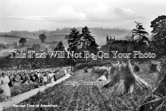 BU 605 - Harvest Time, Amersham, Buckinghamshire