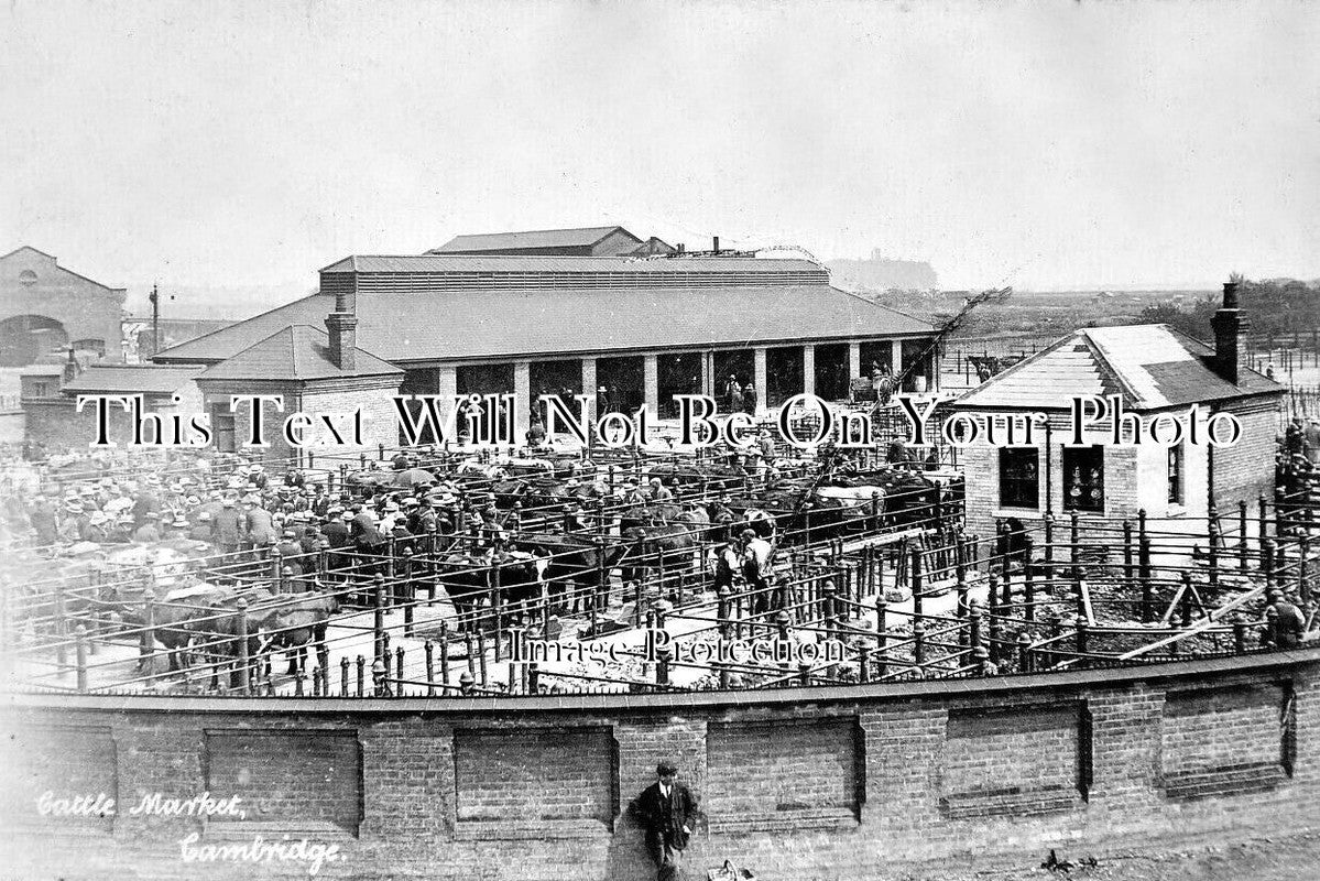 CA 1054 - Cattle Market, Cambridge, Cambridgeshire c1910