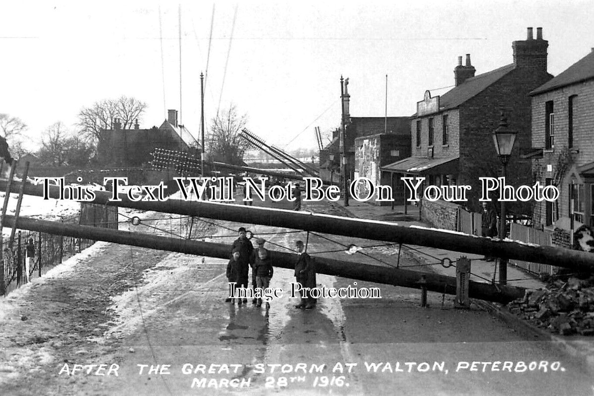 CA 1347 - Storm Damage At Walton, Peterborough, Cambridgeshire 1916