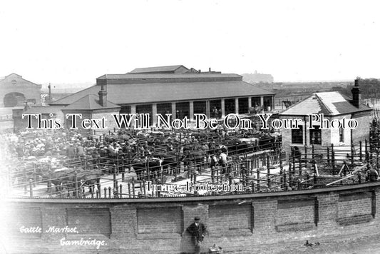 CA 1449 - Cattle Market, Cambridge, Cambridgeshire