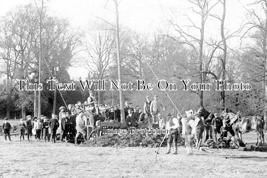 CA 1537 - Tree Felling, Longstowe Hall, Cambridgeshire c1906