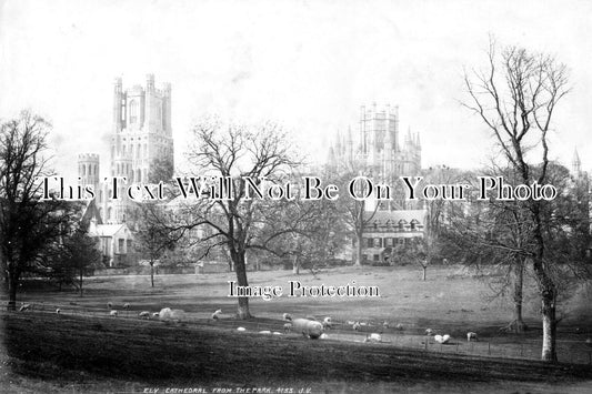 CA 1630 - Ely Cathedral From The Park, Cambridgeshire