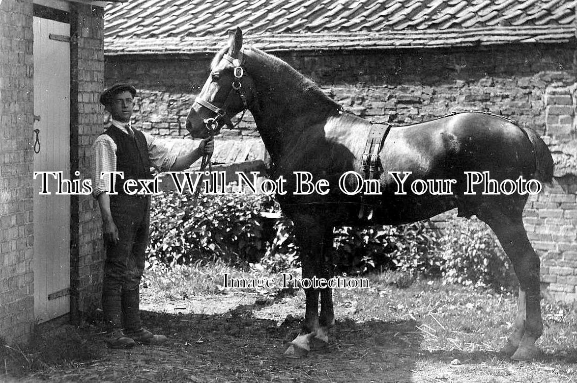 CA 248 - Haddenham Farmer, Cambridgeshire c1910