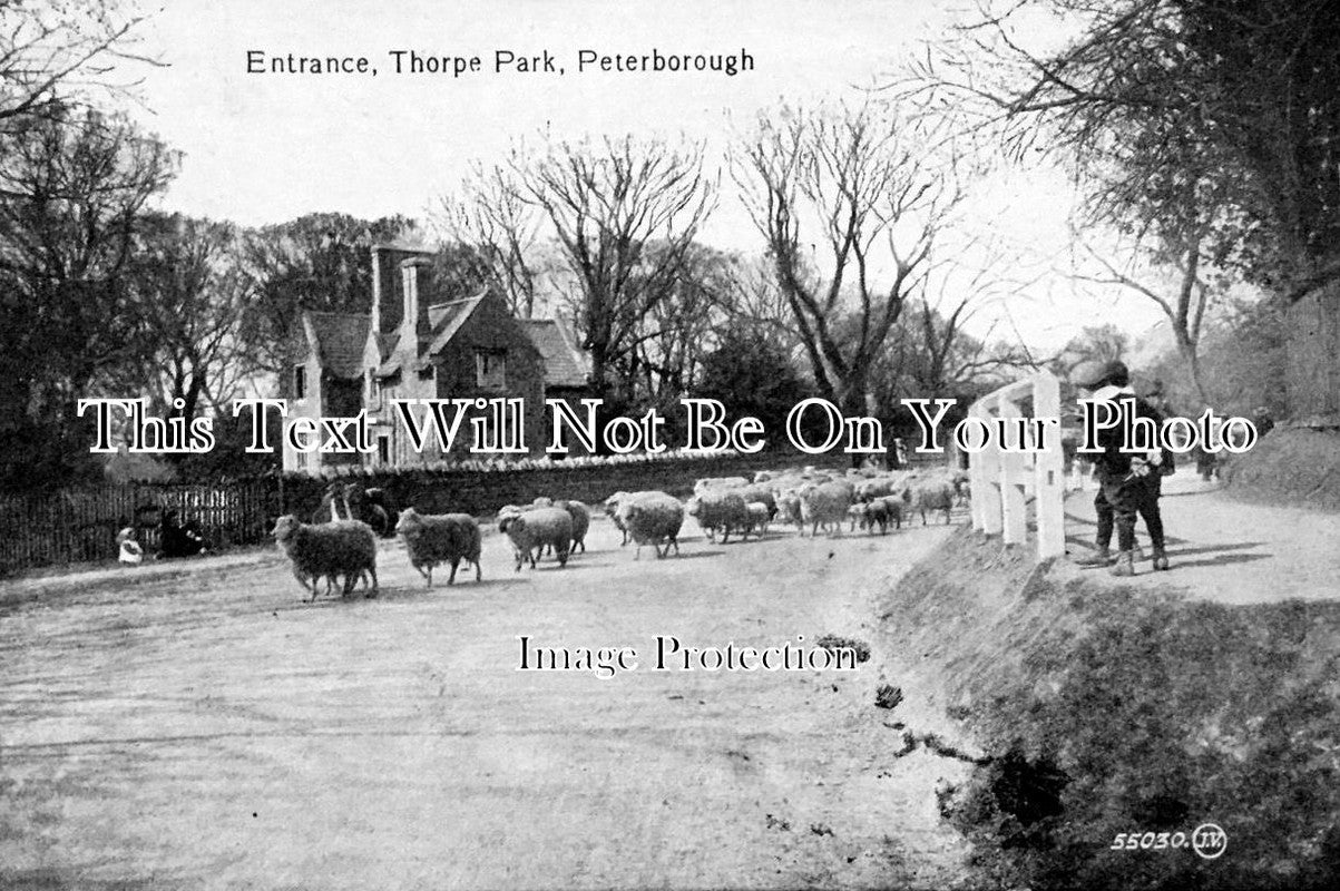 CA 335 - Thorpe Park, Peterborough, Cambridgeshire c1919