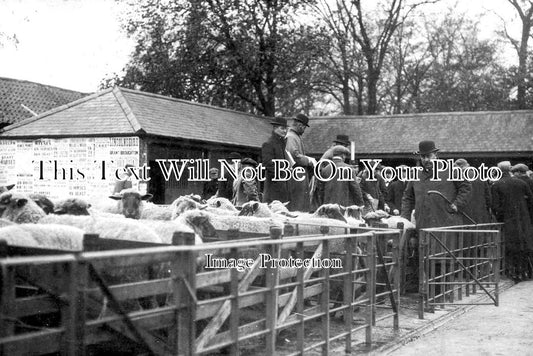 CA 784 - Cattle Market, Wisbech, Cambridgeshire c1910