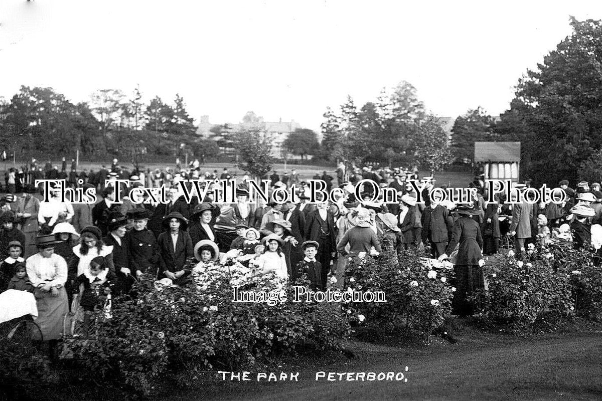 CA 952 - The Park, Peterborough, Cambridgeshire